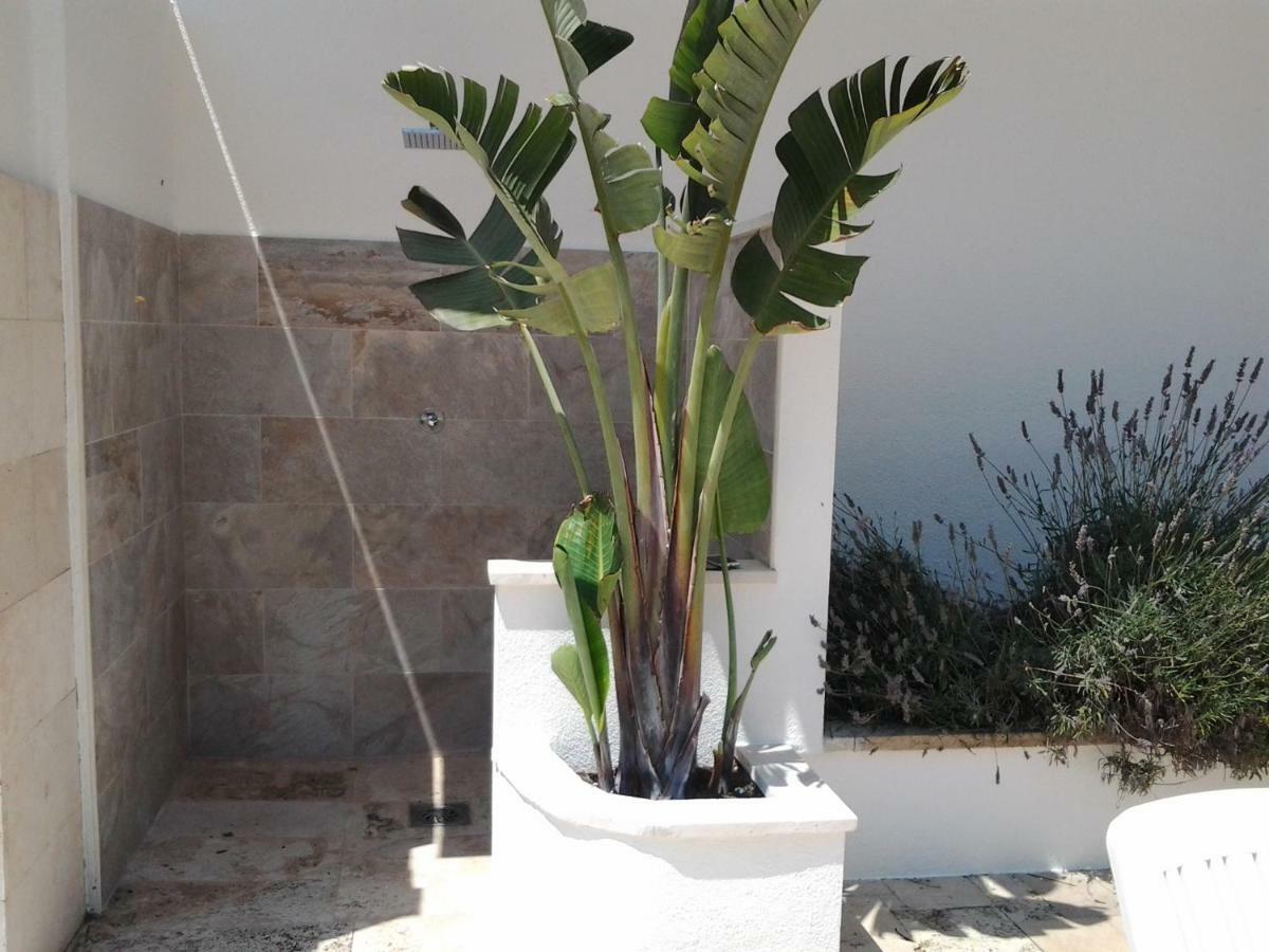 شقة Apartamento Sol- Fanals يوريت دي مار المظهر الخارجي الصورة